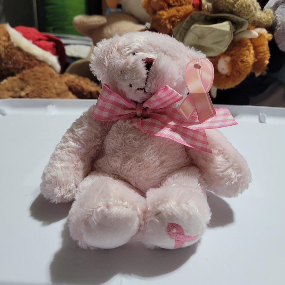 Plushland Hope Breast Cancer Awareness Pink Teddy Bear Gingham Bow 2006 Plush